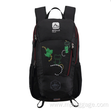 Leisure Outdoor Sports Mountaineering Backpack Customization